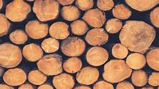 Timber Treatment Chemicals