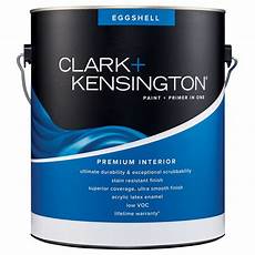 Acrylic Latex Paint