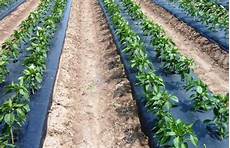 Agricultural Soil Chemicals
