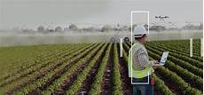 Agriculture Oil