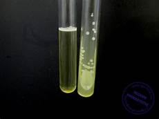 Biochemical