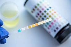 Chemical Analysis Products