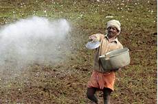 Chemical Fertilizer