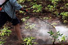 Chemical Fertilizer