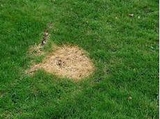 Chemical Fertilizer