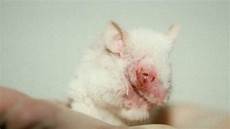 Cosmetic Chemicals