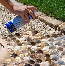 Crystal Clear Varnish