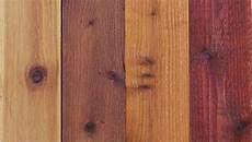 Dark Oak Varnish