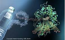 Enzymatic Chemicals