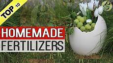 Fertilizers And Chemical