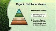 Fertilizers And Chemical
