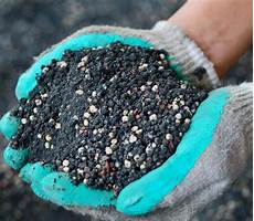 Fertilizers And Chemical