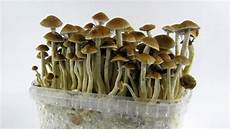 Food Chemical
