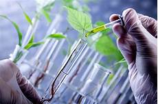 Food Industry Chemicals