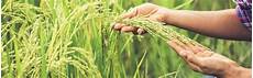 Organic Agricultural Chemicals
