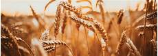 Organic Agricultural Chemicals