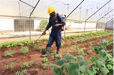 Organic Agriculture Chemicals