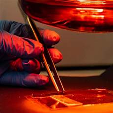 Organic Chemical Raw Materials