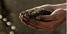 Organic Chemical Raw Materials
