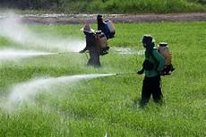Organic Chemical