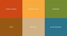 Paint Swatches