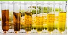 Paper Industry Chemicals
