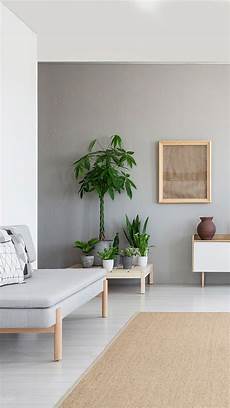 Plascon Paint
