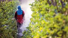 Plastic Industry Chemicals