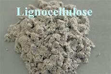 Polymer Chemical Additives
