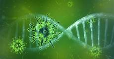 Research Chemicals