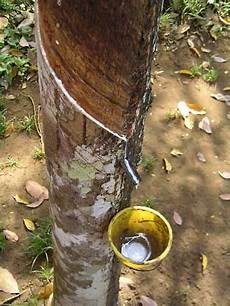 Rubber Chemical
