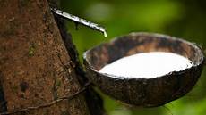 Rubber Chemicals