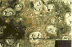 Scale And Corrosion Inhibitor Chemicals