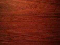 Teak Varnish