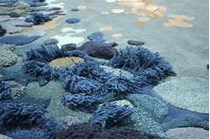 Textile Industry Chemicals