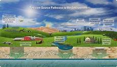Wastewater Treatment Chemicals